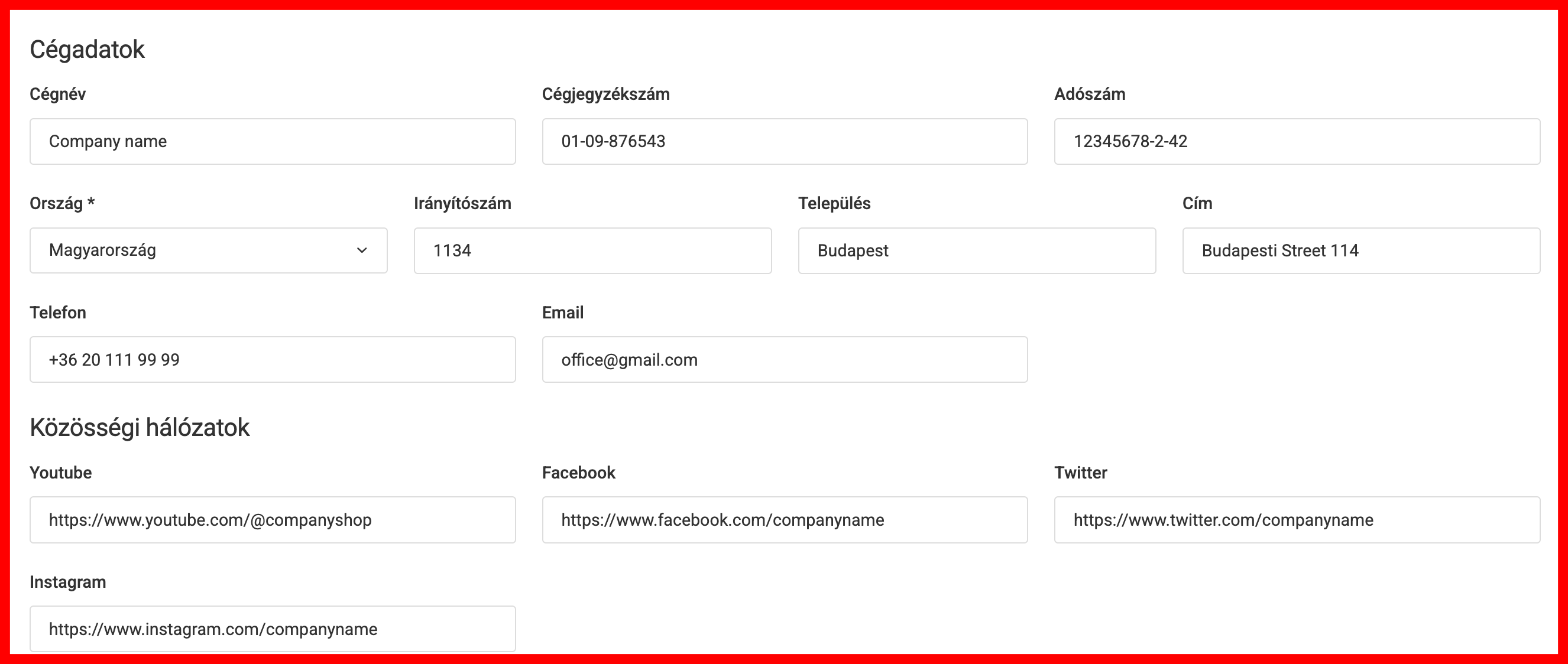 Cég adatainak beállítása
